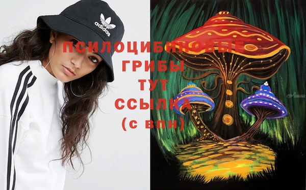 прущая мука Аркадак